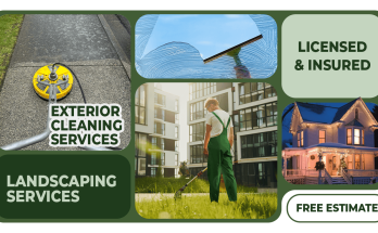 Why You Should Never Ignore Clogged Gutters